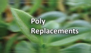 Poly Replacements
