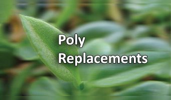 Poly Replacements